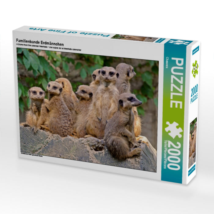 Familienbande Erdmännchen - CALVENDO Foto-Puzzle - calvendoverlag 29.99