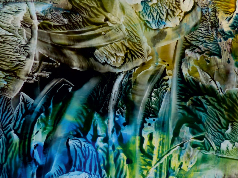 Dschungel unter Wasser - CALVENDO Foto-Puzzle - calvendoverlag 39.99