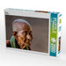 Nonne - CALVENDO Foto-Puzzle - calvendoverlag 39.99