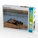 Brillenkaiman im Pantanal - CALVENDO Foto-Puzzle - calvendoverlag 39.99