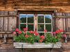 Fenster der Alpe Gschwender Berg - CALVENDO Foto-Puzzle - calvendoverlag 29.99
