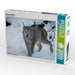 Luchs im Winter - CALVENDO Foto-Puzzle - calvendoverlag 39.99