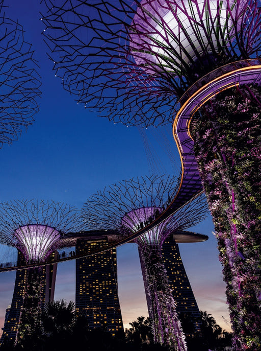 Garden by the Bay - Singapur - CALVENDO Foto-Puzzle - calvendoverlag 39.99