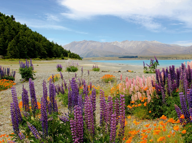 Lake Tekapo - CALVENDO Foto-Puzzle - calvendoverlag 39.99