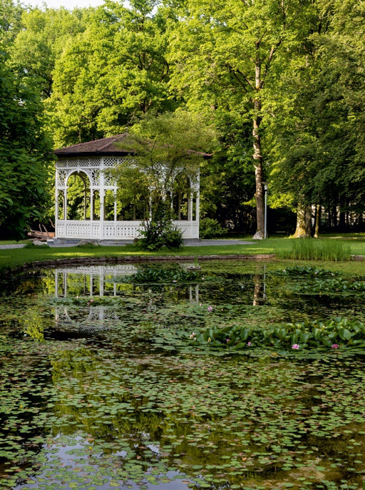 Teich im Stadtpark Schwabach - CALVENDO Foto-Puzzle - calvendoverlag 39.99