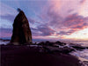 Westküste Ruby Beach - CALVENDO Foto-Puzzle - calvendoverlag 39.99