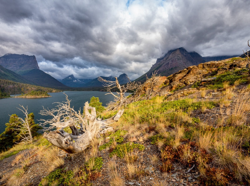 Blick Richtung Westen des St. Mary Lake - CALVENDO Foto-Puzzle - calvendoverlag 39.99