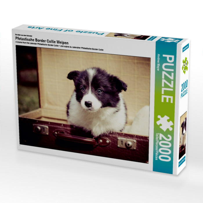 Pfotastische Border Collie Welpen - CALVENDO Foto-Puzzle - calvendoverlag 39.99