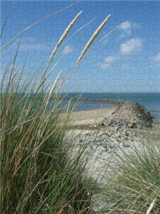 Blühender Strandhafer und Blick auf eine Buhne - CALVENDO Foto-Puzzle - calvendoverlag 29.99