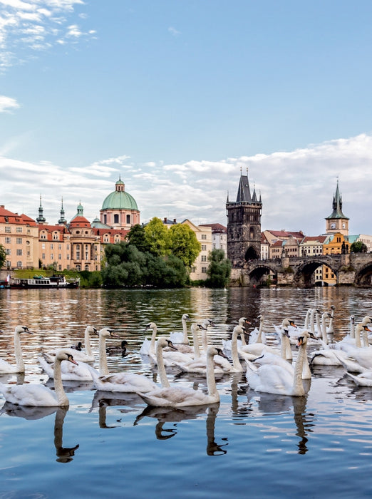 Moldau mit Schwänen - CALVENDO Foto-Puzzle - calvendoverlag 29.99