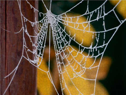 Spinnennetz - CALVENDO Foto-Puzzle - calvendoverlag 39.99