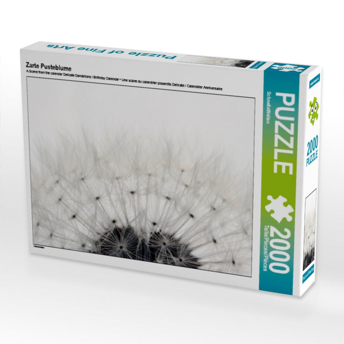 Zarte Pusteblume - CALVENDO Foto-Puzzle - calvendoverlag 39.99