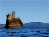 Felsformation in der Mercury Bay - CALVENDO Foto-Puzzle - calvendoverlag 39.99