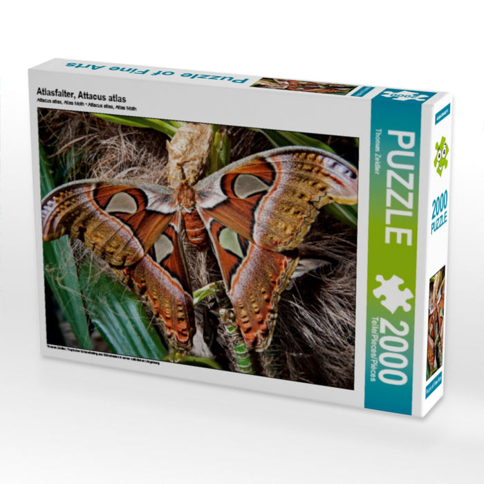 Atlasfalter, Attacus atlas - CALVENDO Foto-Puzzle - calvendoverlag 39.99