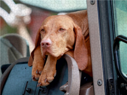 Ich fahre mit! - CALVENDO Foto-Puzzle - calvendoverlag 29.99