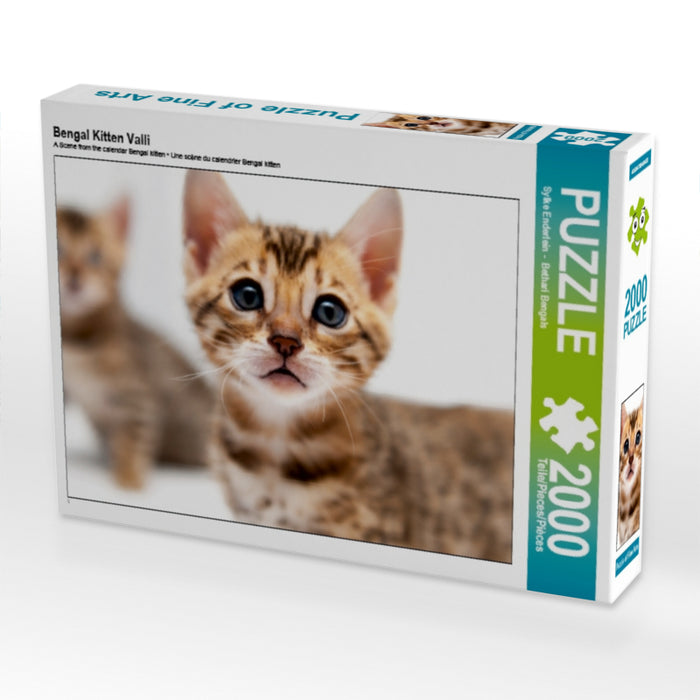 Bengal Kitten Valli - CALVENDO Foto-Puzzle - calvendoverlag 39.99