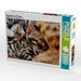 Bengalkitten mit 18 Tagen - CALVENDO Foto-Puzzle - calvendoverlag 39.99