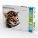 Bengal Katerchen Xerxes mit 3 Wochen - CALVENDO Foto-Puzzle - calvendoverlag 39.99