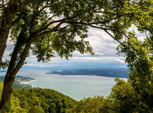 Herbstlicher Blick vom schönen Haldenhof über den Bodensee - CALVENDO Foto-Puzzle - calvendoverlag 39.99