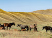 Auf der Weide bei einer Jurte nahe Naryn, Kirgisistan - CALVENDO Foto-Puzzle - calvendoverlag 39.99