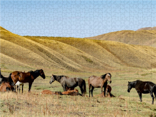 Auf der Weide bei einer Jurte nahe Naryn, Kirgisistan - CALVENDO Foto-Puzzle - calvendoverlag 39.99
