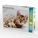 Bethari Vinu - Brown rosetted Bengal - CALVENDO Foto-Puzzle - calvendoverlag 29.99