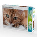 Bethari Hita - Brown rosetted Bengal - CALVENDO Foto-Puzzle - calvendoverlag 29.99