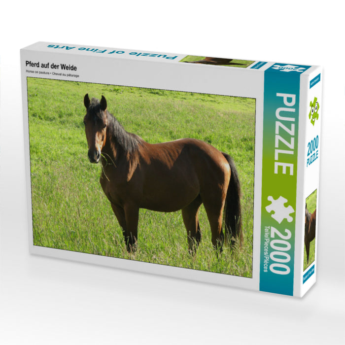 Horse in the pasture - CALVENDO photo puzzle 