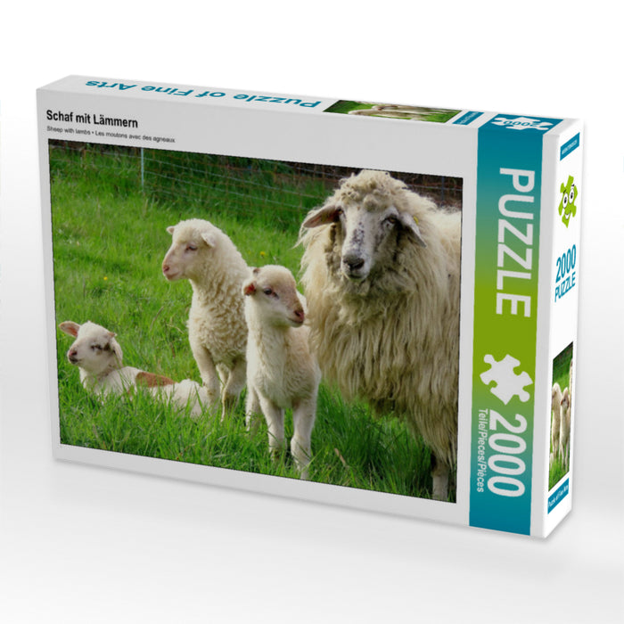 Schaf mit Lämmern - CALVENDO Foto-Puzzle