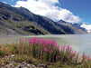 Oberaarsee Schweiz - CALVENDO Foto-Puzzle - calvendoverlag 39.99