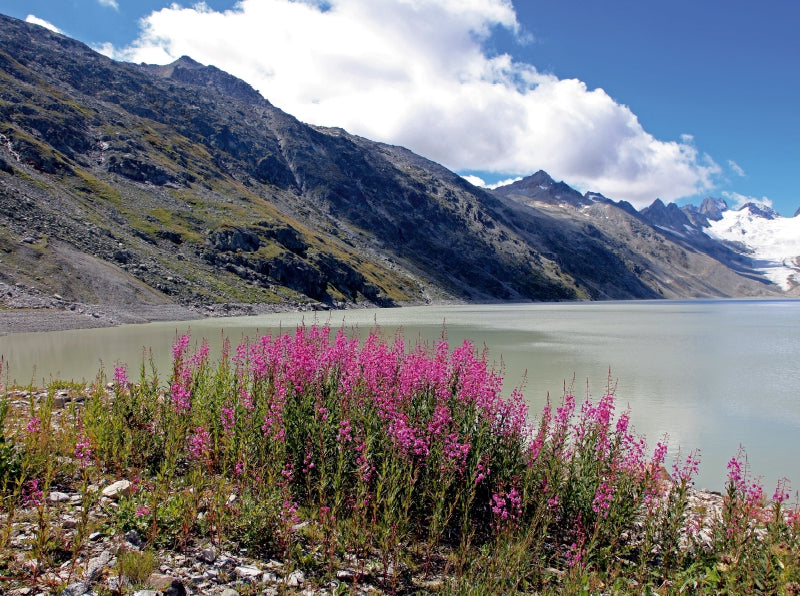 Oberaarsee Schweiz - CALVENDO Foto-Puzzle - calvendoverlag 39.99