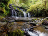Purakaunui Falls - Neuseeland - CALVENDO Foto-Puzzle - calvendoverlag 29.99