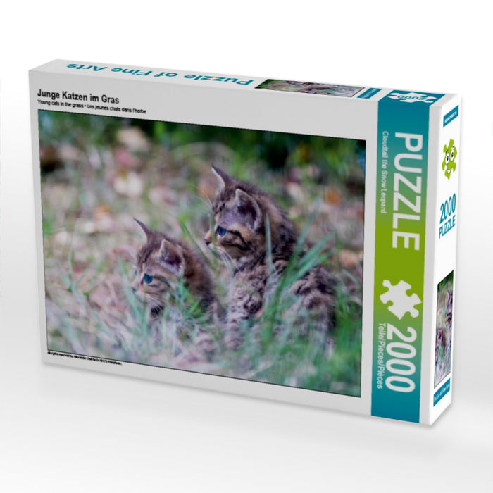 Junge Katzen im Gras - CALVENDO Foto-Puzzle - calvendoverlag 39.99