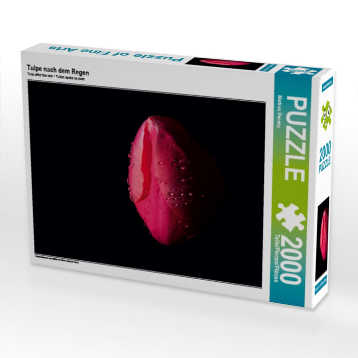 Tulpe nach dem Regen - CALVENDO Foto-Puzzle - calvendoverlag 39.99