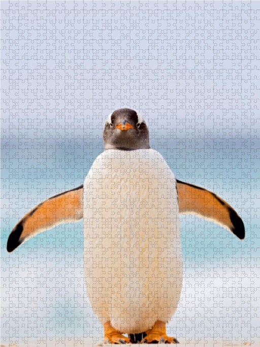 Hallo Pinguin - CALVENDO Foto-Puzzle - calvendoverlag 29.99