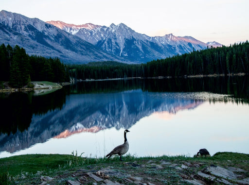 Johnson Lake, Alberta, Kanada - CALVENDO Foto-Puzzle - calvendoverlag 39.99