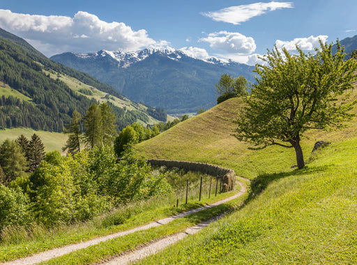 Ahrntaler Sonnenweg bei St. Johann in Südtirol, Italien - CALVENDO Foto-Puzzle - calvendoverlag 39.99