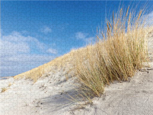 Strandgräser im Sonnenlicht bei Dierhagen - CALVENDO Foto-Puzzle - calvendoverlag 39.99