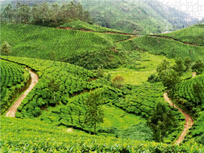 Teeplantagen in Südindien - CALVENDO Foto-Puzzle - calvendoverlag 39.99