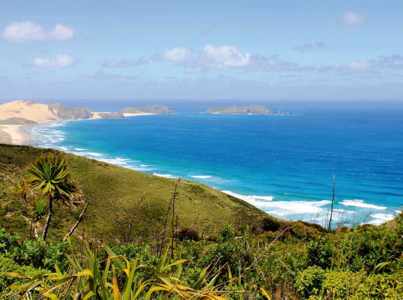 Cape Reinga - CALVENDO Foto-Puzzle - calvendoverlag 39.99