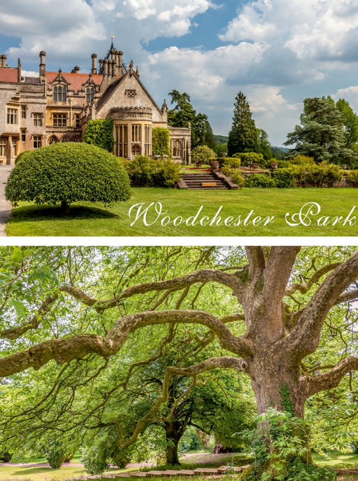 Woodchester Park in Gloucestershire, England - CALVENDO Foto-Puzzle - calvendoverlag 39.99