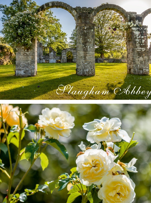 Garten von Slaugham Abbey in West Sussex, England - CALVENDO Foto-Puzzle - calvendoverlag 39.99
