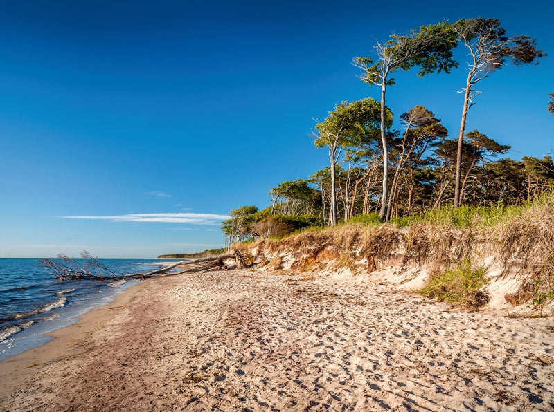 Weststrand am Darß im Nationalpark Vorpommersche Boddenlandschaft - CALVENDO Foto-Puzzle - calvendoverlag 39.99