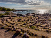 Steinkreis Hammeren an der Nordküste Bornholms - CALVENDO Foto-Puzzle - calvendoverlag 39.99