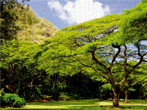 Hawaii, Parklandschaft zum Träumen - CALVENDO Foto-Puzzle - calvendoverlag 39.99