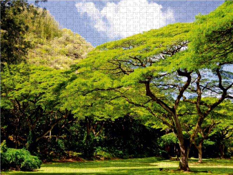 Hawaii, Parklandschaft zum Träumen - CALVENDO Foto-Puzzle - calvendoverlag 39.99