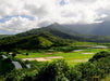 Blick in die Landschaft Hawaiis - CALVENDO Foto-Puzzle - calvendoverlag 39.99