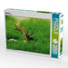 Wildleben - CALVENDO Foto-Puzzle - calvendoverlag 39.99