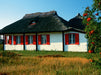 Haus auf Hiddensee - CALVENDO Foto-Puzzle - calvendoverlag 39.99