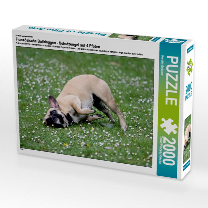 Französische Bulldoggen - Schutzengel auf 4 Pfoten - CALVENDO Foto-Puzzle - calvendoverlag 39.99